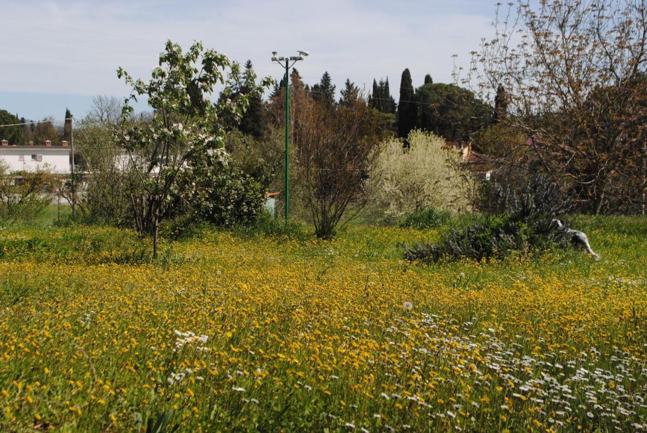 Agriturismo Fattoria Di Malavolta Florencia Exterior foto