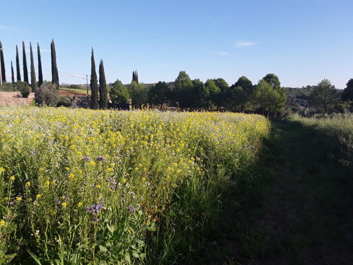 Agriturismo Fattoria Di Malavolta Florencia Exterior foto