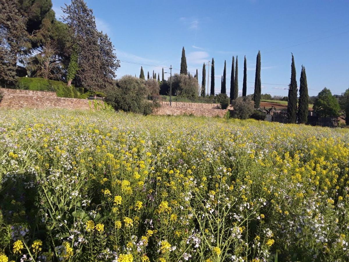 Agriturismo Fattoria Di Malavolta Florencia Exterior foto